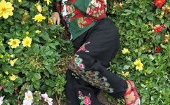 走一下撞一下深深咬合的小说视频